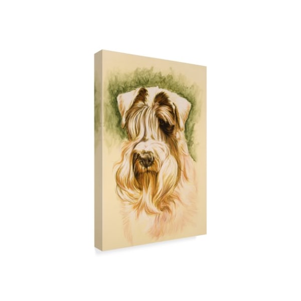 Barbara Keith 'Sealyham Terrier' Canvas Art,16x24